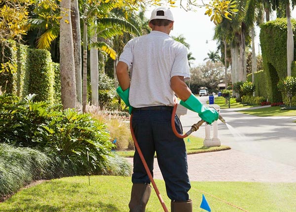 About Ellisburg NY Pest Control